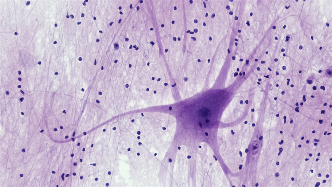 Living Neurons Are Learning To Play Video Games