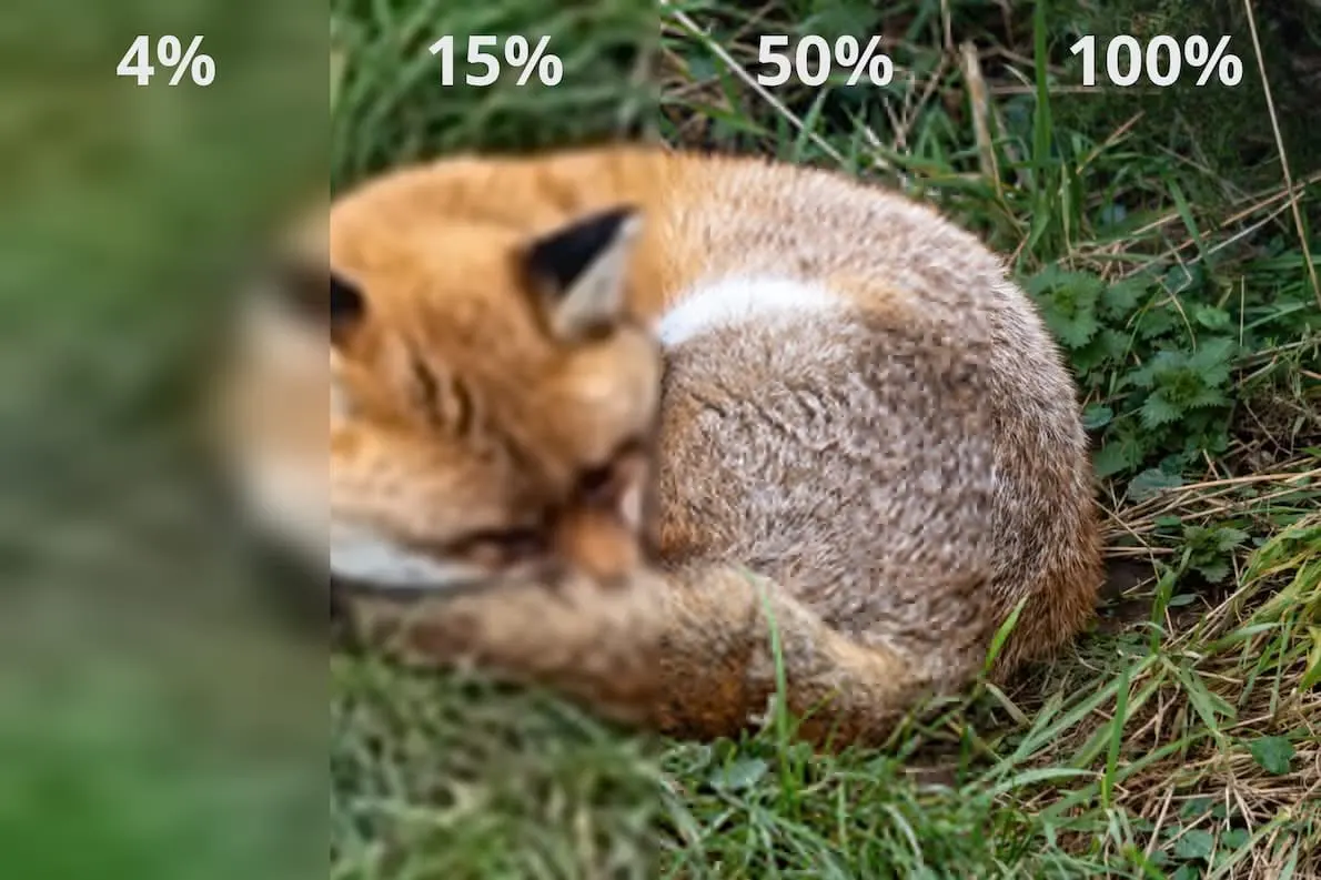 Chrome Surrenders to JPEG XL — and the Web Gets a 20% Shrink-Ray