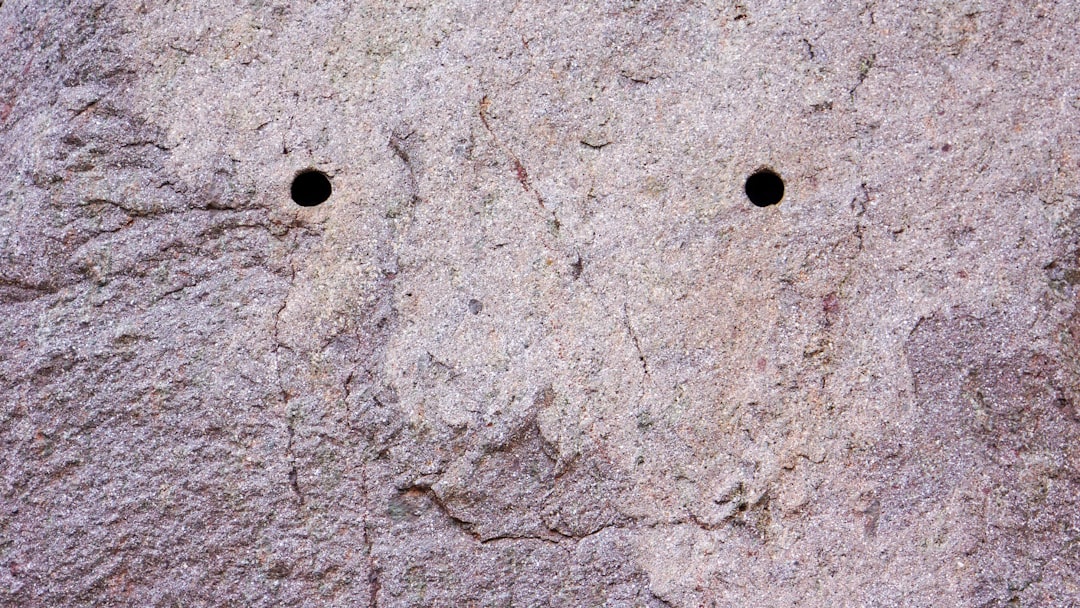 Leopold Aschenbrenner and the Art of Profiting From the Apocalypse