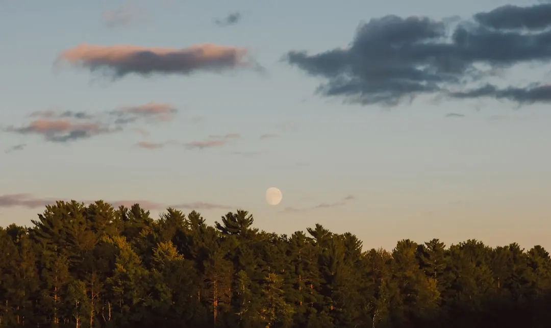 Navigating the New Lunar Reality
