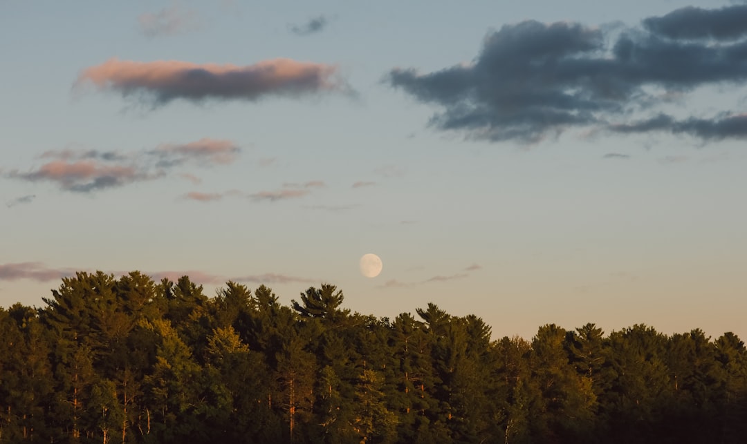 Navigating the New Lunar Reality